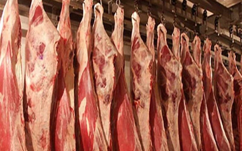 أسعار اللحوم اليوم الأربعاء 17 أبريل 2024 .. لن تتخيل الضأن بكم النهاردة