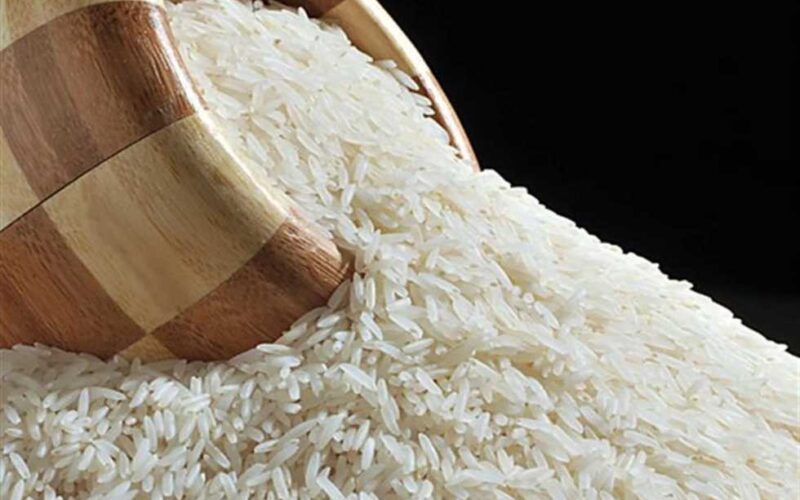أسعار الأرز الشعير اليوم الجمعة 19 أبريل 2024 … الطن نزل أكثر من 1500 جنيه