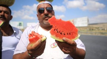 تحذير عاجل من الفلاحين حول انتشار البطيخ المسرطن بالأسواق : طعمه مش حلو وغالي