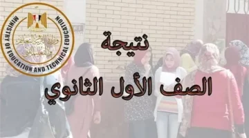 نتيجة الصف الأول الثانوي برقم الجلوس 2024 محافظة الجيزة .. شوف مصير ابنتك