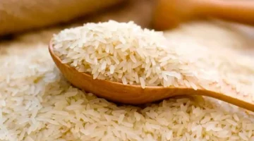 أسعار الأرز الشعير اليوم الأحد 21 أبريل 2024 … الكيلو ببلاش
