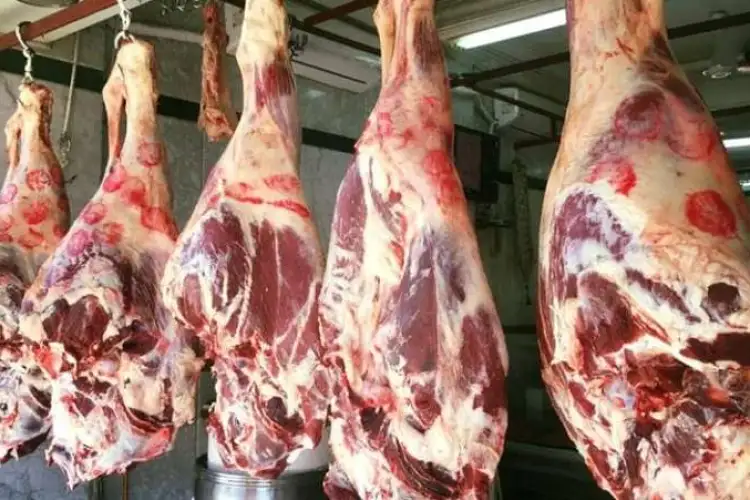 أسعار اللحوم اليوم الخميس 18 أبريل 2024 .. الجزارين نزلوا التسعيرة