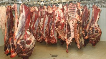 أسعار اللحوم اليوم الإثنين 22 أبريل 2024 .. الكيلو نزل 50 جنيهًا