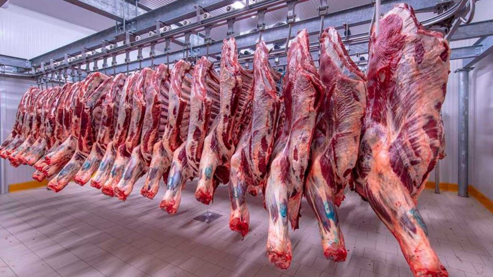 أسعار اللحوم بالأسواق