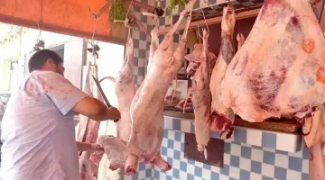 أسعار اللحوم اليوم الجمعة 19 أبريل 2024 .. البتلو بكام النهاردة؟