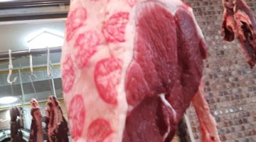 أسعار اللحوم اليوم الإثنين 6 مايو 2024 .. مفاجأة غير متوقعة في شم النسيم