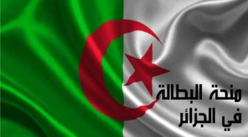 ما هى حقيقة إيقاف منحة البطالة في الجزائر 2024؟.. الوكالة الوطنية للتشغيل تجيب