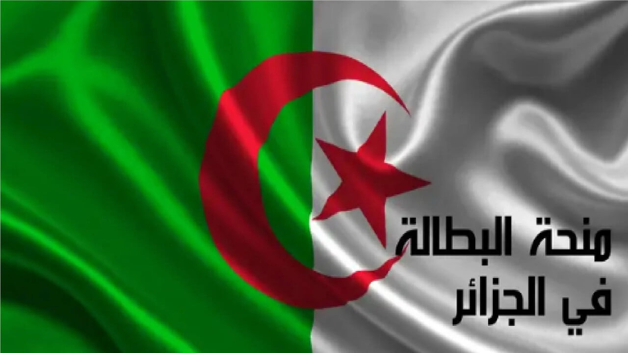 رابط تجديد منحة البطالة في الجزائر 2024
