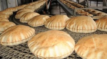 انخفاض سعر الخبز السياحي من غداً الأحد رئيس شعبة المخابز يكشفها