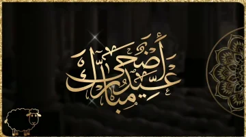 رسائل معايدة عيد الأضحى 2024.. دينية واجتماعية لكل الأهل والأصدقاء